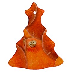 Pumpkin Halloween Fall Thanksgiving Christmas Tree Ornament (two Sides) by Pakrebo