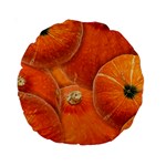 Pumpkin Halloween Fall Thanksgiving Standard 15  Premium Round Cushions Front