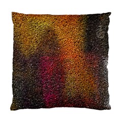 Colors Exploding Paint Spray Standard Cushion Case (one Side) by Pakrebo