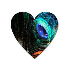 Green And Blue Peacock Feather Heart Magnet by Pakrebo