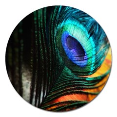 Green And Blue Peacock Feather Magnet 5  (round) by Pakrebo