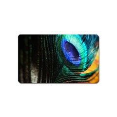 Green And Blue Peacock Feather Magnet (name Card) by Pakrebo