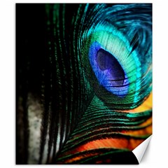 Green And Blue Peacock Feather Canvas 20  X 24  by Pakrebo