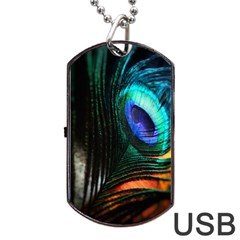 Green And Blue Peacock Feather Dog Tag Usb Flash (one Side) by Pakrebo