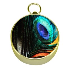 Green And Blue Peacock Feather Gold Compasses by Pakrebo