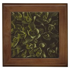 Green Leafy Plant Framed Tiles by Pakrebo