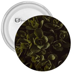 Green Leafy Plant 3  Buttons by Pakrebo