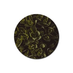 Green Leafy Plant Rubber Coaster (round)  by Pakrebo