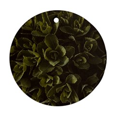 Green Leafy Plant Round Ornament (two Sides)