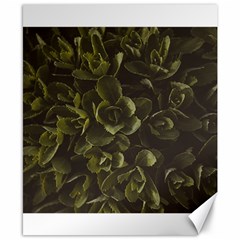 Green Leafy Plant Canvas 8  X 10  by Pakrebo