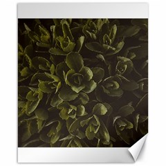 Green Leafy Plant Canvas 16  X 20  by Pakrebo