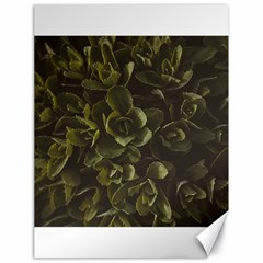 Green Leafy Plant Canvas 18  X 24  by Pakrebo