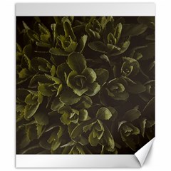 Green Leafy Plant Canvas 20  X 24  by Pakrebo