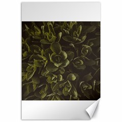 Green Leafy Plant Canvas 24  X 36  by Pakrebo