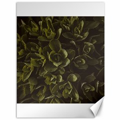 Green Leafy Plant Canvas 36  X 48  by Pakrebo