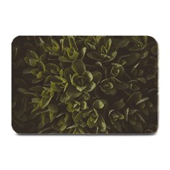 Green Leafy Plant Plate Mats by Pakrebo