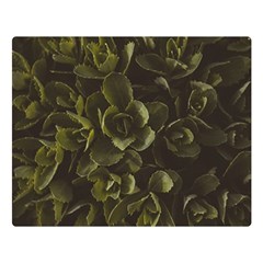 Green Leafy Plant Double Sided Flano Blanket (large)  by Pakrebo