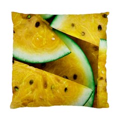 Sliced Watermelon Lot Standard Cushion Case (two Sides) by Pakrebo