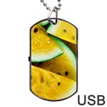 Sliced Watermelon Lot Dog Tag USB Flash (One Side) Front