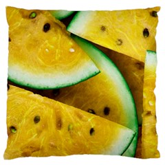 Sliced Watermelon Lot Standard Flano Cushion Case (one Side) by Pakrebo