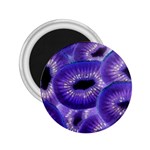 Sliced Kiwi Fruits Purple 2.25  Magnets Front