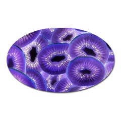 Sliced Kiwi Fruits Purple Oval Magnet by Pakrebo