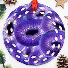 Sliced Kiwi Fruits Purple Round Filigree Ornament (two Sides) by Pakrebo