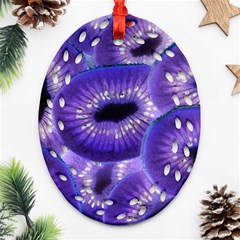 Sliced Kiwi Fruits Purple Oval Filigree Ornament (two Sides) by Pakrebo