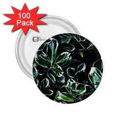 Beautiful Botanical Bright 2 25  Buttons (100 Pack)  by Pakrebo