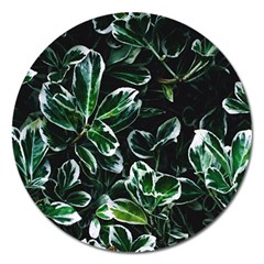 Beautiful Botanical Bright Magnet 5  (round) by Pakrebo