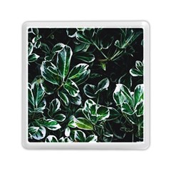 Beautiful Botanical Bright Memory Card Reader (square) by Pakrebo