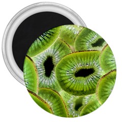 Sliced Kiwi Fruits Green 3  Magnets by Pakrebo