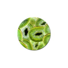 Sliced Kiwi Fruits Green Golf Ball Marker by Pakrebo