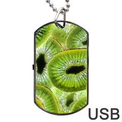 Sliced Kiwi Fruits Green Dog Tag Usb Flash (two Sides) by Pakrebo