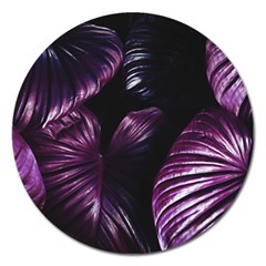 Purple Leaves Magnet 5  (round) by Pakrebo