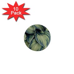 Closeup Photo Of Green Variegated Leaf Plants 1  Mini Magnet (10 Pack)  by Pakrebo