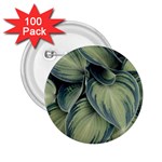 Closeup Photo Of Green Variegated Leaf Plants 2.25  Buttons (100 pack)  Front