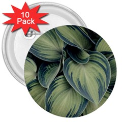 Closeup Photo Of Green Variegated Leaf Plants 3  Buttons (10 Pack)  by Pakrebo