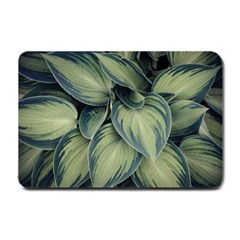 Closeup Photo Of Green Variegated Leaf Plants Small Doormat  by Pakrebo