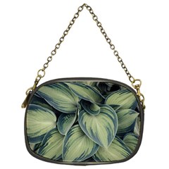 Closeup Photo Of Green Variegated Leaf Plants Chain Purse (one Side) by Pakrebo