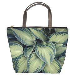 Closeup Photo Of Green Variegated Leaf Plants Bucket Bag by Pakrebo