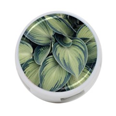 Closeup Photo Of Green Variegated Leaf Plants 4-port Usb Hub (one Side) by Pakrebo