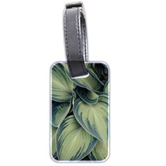 Closeup Photo Of Green Variegated Leaf Plants Luggage Tag (two Sides) by Pakrebo