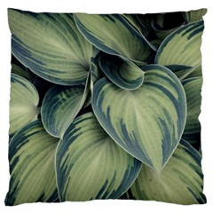 Closeup Photo Of Green Variegated Leaf Plants Large Cushion Case (two Sides) by Pakrebo