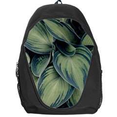 Closeup Photo Of Green Variegated Leaf Plants Backpack Bag by Pakrebo