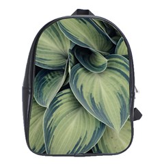 Closeup Photo Of Green Variegated Leaf Plants School Bag (xl) by Pakrebo