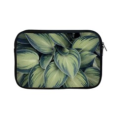 Closeup Photo Of Green Variegated Leaf Plants Apple Ipad Mini Zipper Cases by Pakrebo