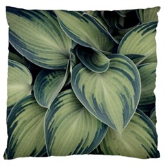 Closeup Photo Of Green Variegated Leaf Plants Standard Flano Cushion Case (two Sides) by Pakrebo