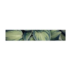 Closeup Photo Of Green Variegated Leaf Plants Flano Scarf (mini) by Pakrebo