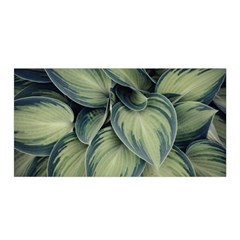 Closeup Photo Of Green Variegated Leaf Plants Satin Wrap by Pakrebo